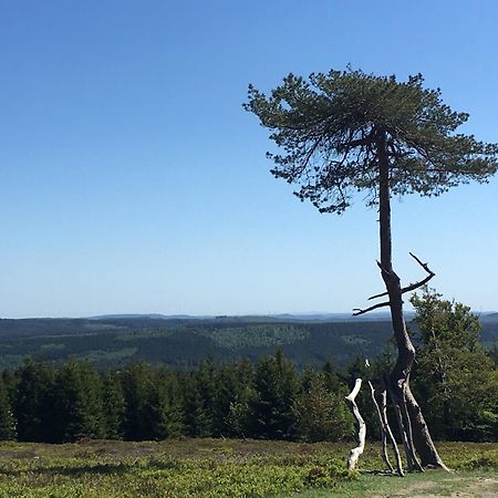 Berg- Und Seeblick Winterberg Exteriör bild