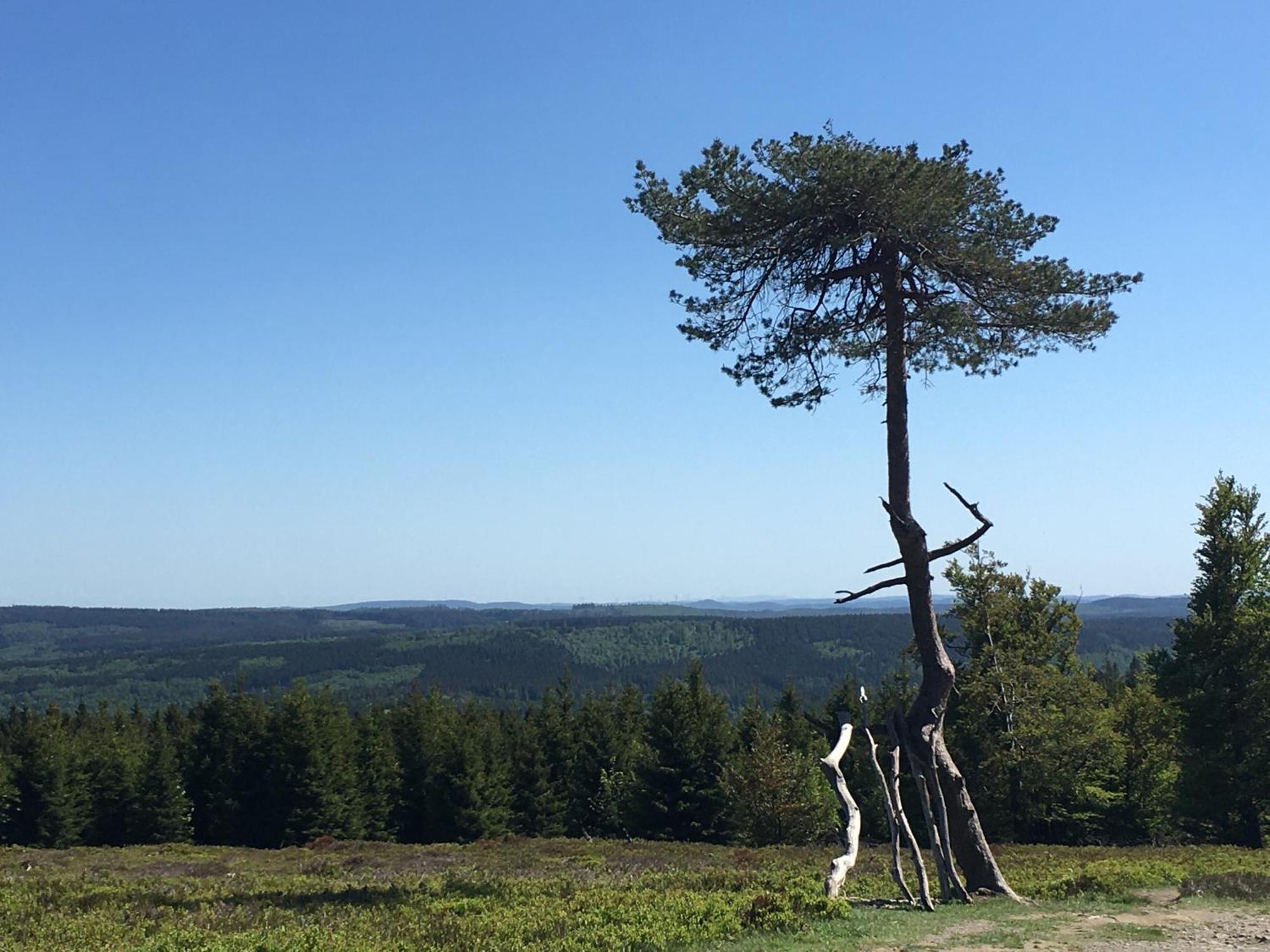 Berg- Und Seeblick Winterberg Exteriör bild